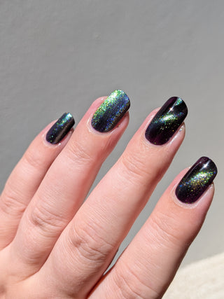 Image provided for Bee's Knees by a paid swatcher featuring the nail polish " An Insane F🦑cking Tentacle Sanctuary "