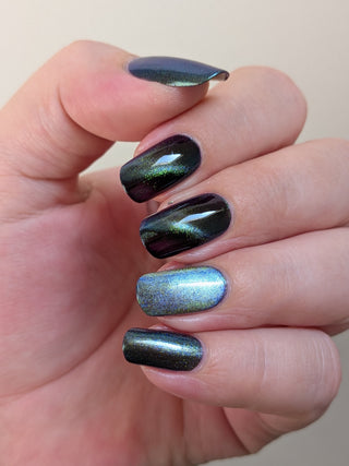 Image provided for Bee's Knees by a paid swatcher featuring the nail polish " An Insane F🦑cking Tentacle Sanctuary "