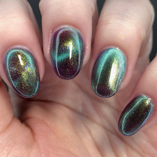 Shadows and Sunlight