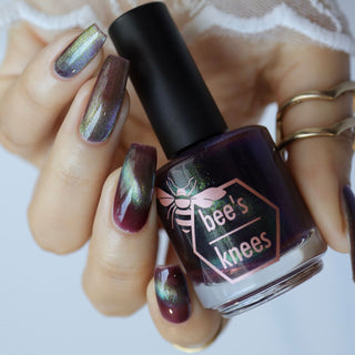 Shadows and Sunlight