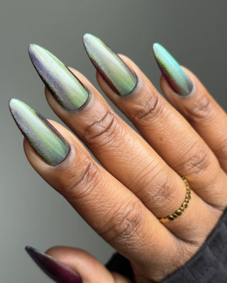 Shadows and Sunlight