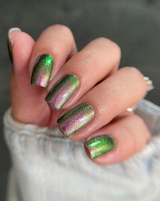 I Would Demand a Companion