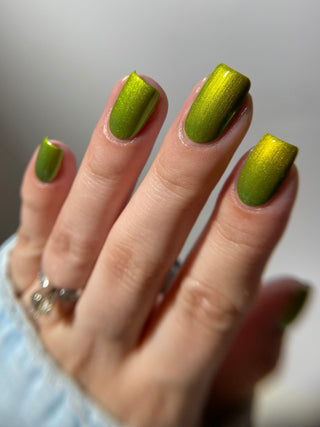 The Spirit of the Forest