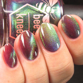 Shadows and Sunlight