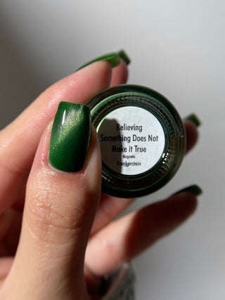 Believing Something does not Make it True