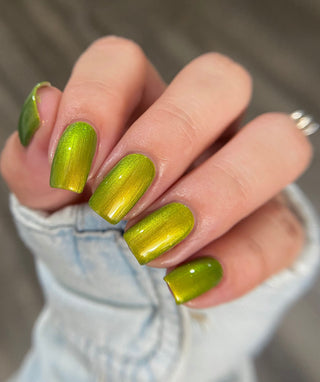 The Spirit of the Forest