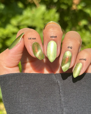 Image provided for Bee's Knees by a paid swatcher featuring the nail polish " This One is Declined "