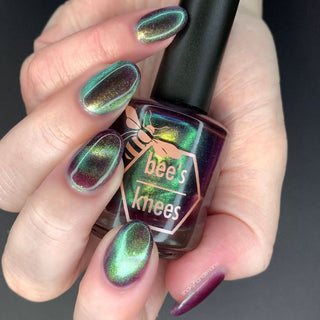 Shadows and Sunlight