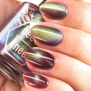 Shadows and Sunlight